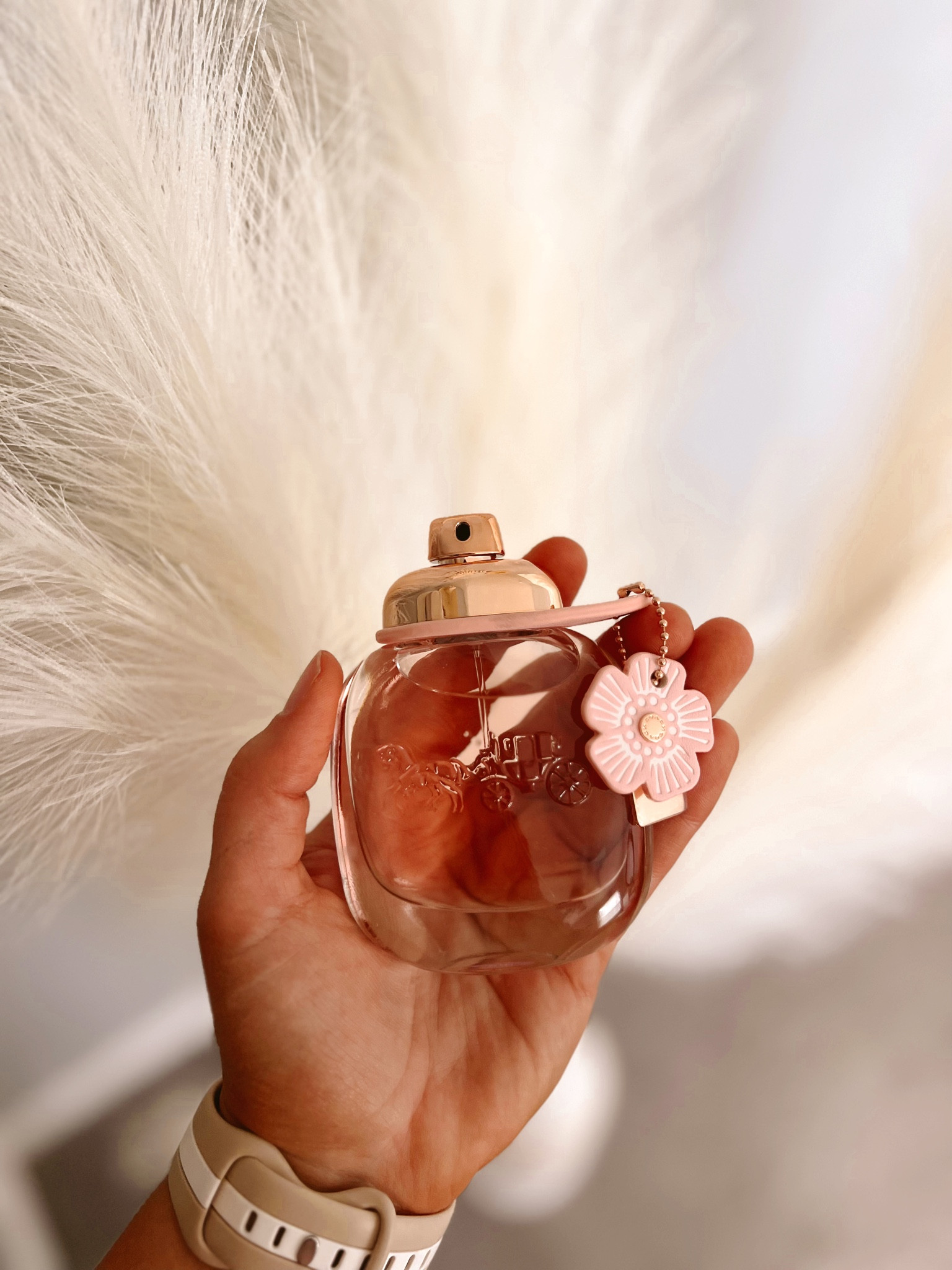 New summer scent 🌸 
Coach floral perfume 
#beautyproducts #perfume #coach #summer 

#LTKunder50 #LTKSeasonal #LTKFind