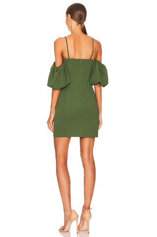 Gloriosa Dress in Green | Revolve Clothing (Global)