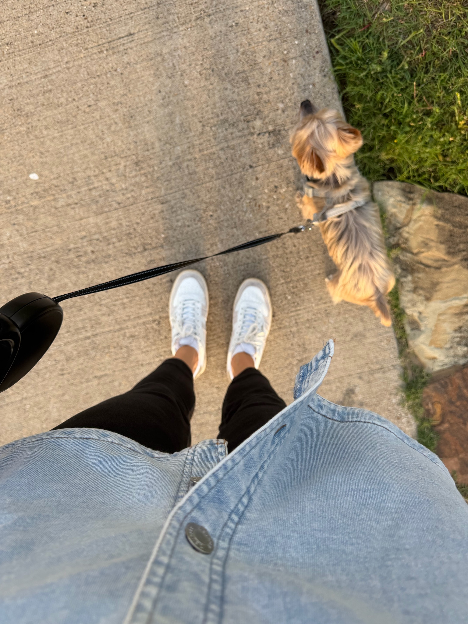 My happy place. Yorkie not for sale! 🥰

