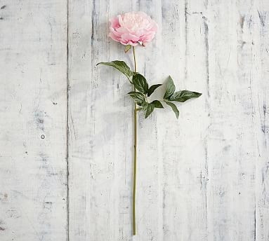 Faux Peony Stems - Bright Pink | Pottery Barn (US)