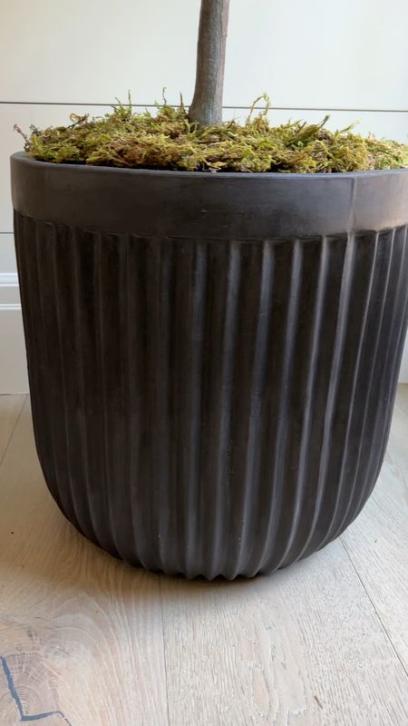 My gorgeous Pottery Barn black fluted cement pot is on sale!  Perfect for indoor and outdoors. Available in 4 colors and 8 sizes.

#LTKsalealert #LTKhome #LTKSeasonal