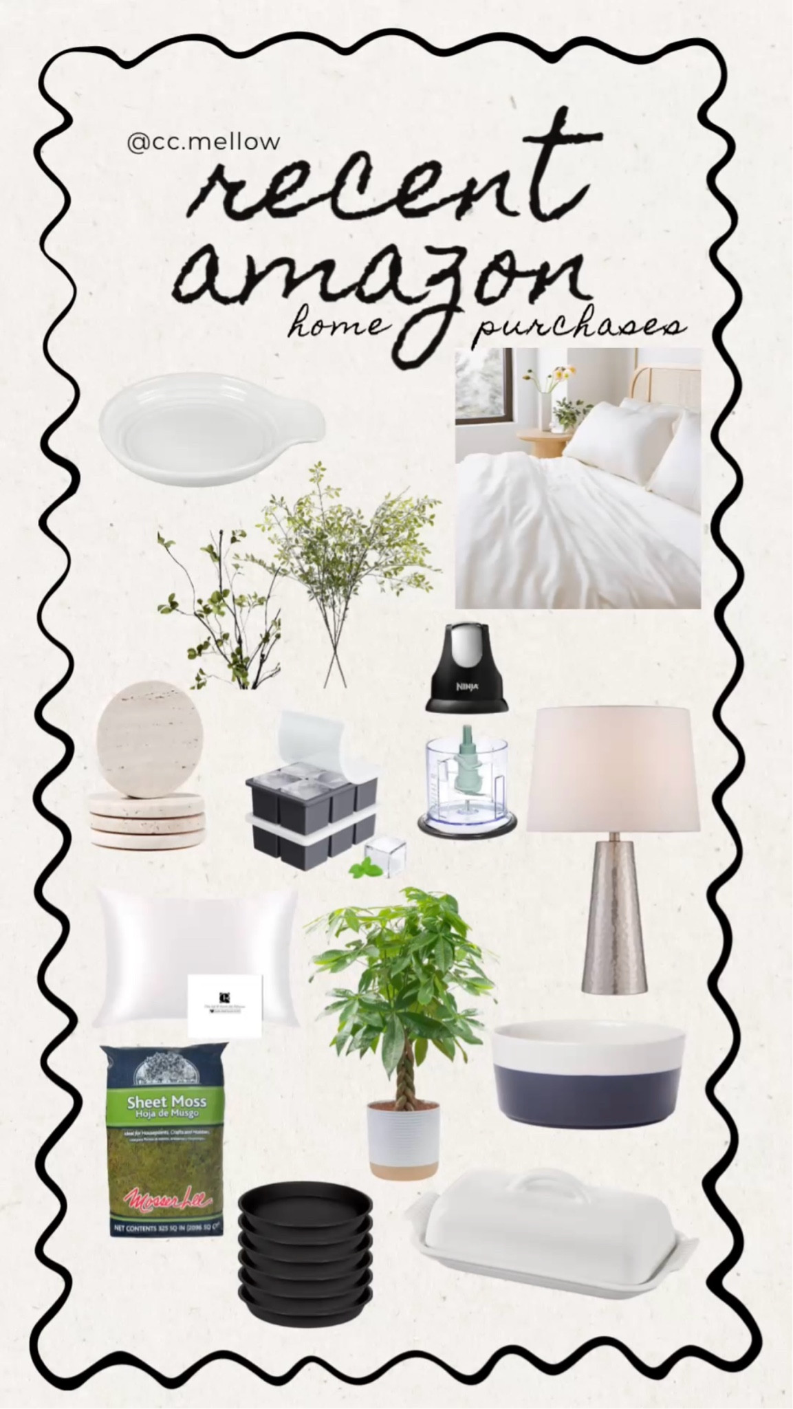 Recent Amazon home purchases - cozy earth - plants - kitchen - pantryy

#LTKFindsUnder100 #LTKFindsUnder50 #LTKHome