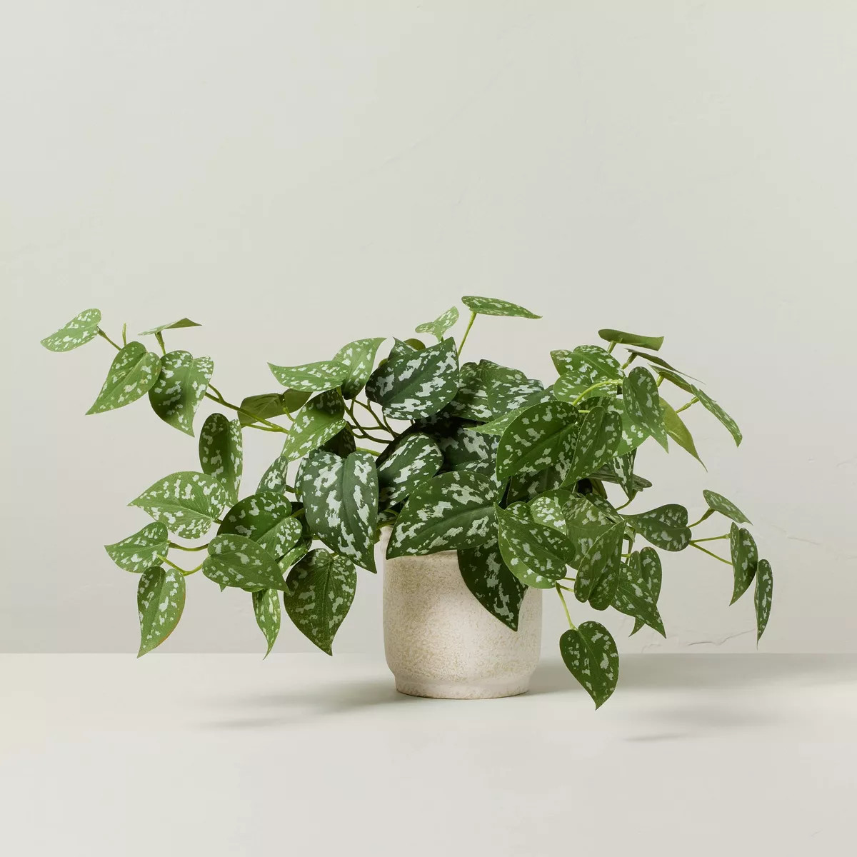 10" Faux Satin Variegated Pothos Plant - Hearth & Hand™ with Magnolia | Target