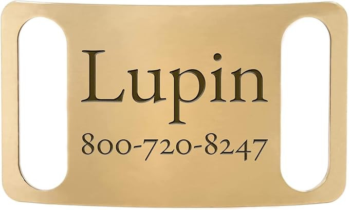 DogIDs Personalized ScruffTag Slide-On Nameplate Dog Identification Tag, Custom Laser Engraved Si... | Amazon (US)