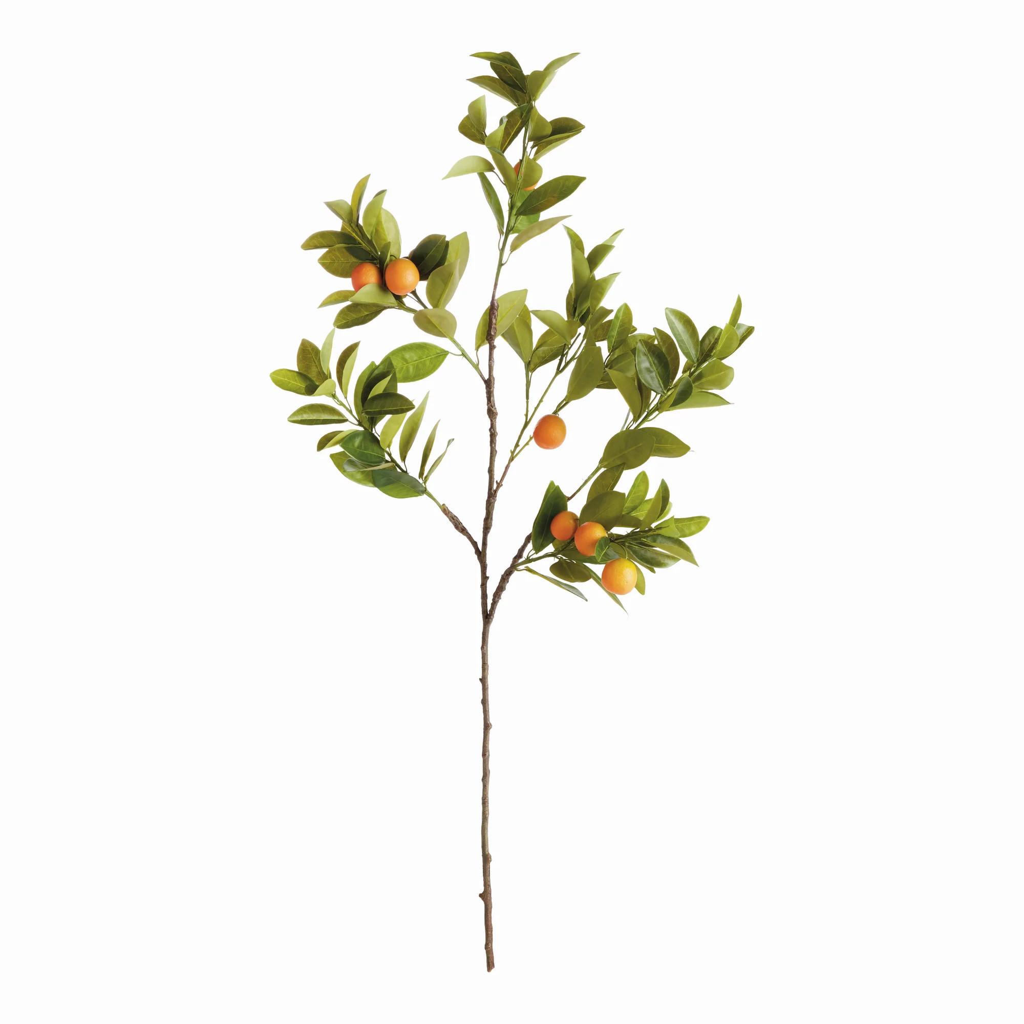 Artificial Orange Branches - Set of 2 | Gorgeous Living