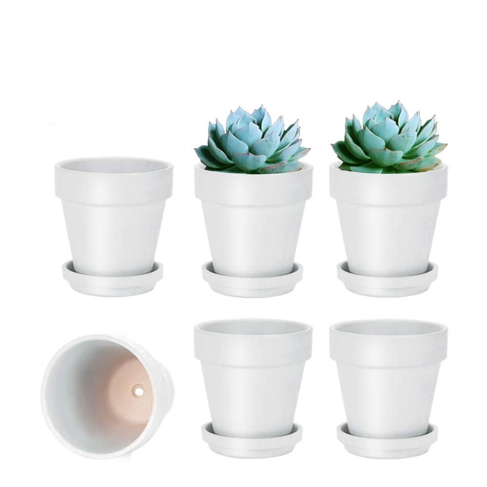 vensovo 4 Inch White Terracotta Plant Pots with Saucer - 6 Pack Clay Flower Pots with Drainage, G... | Amazon (US)