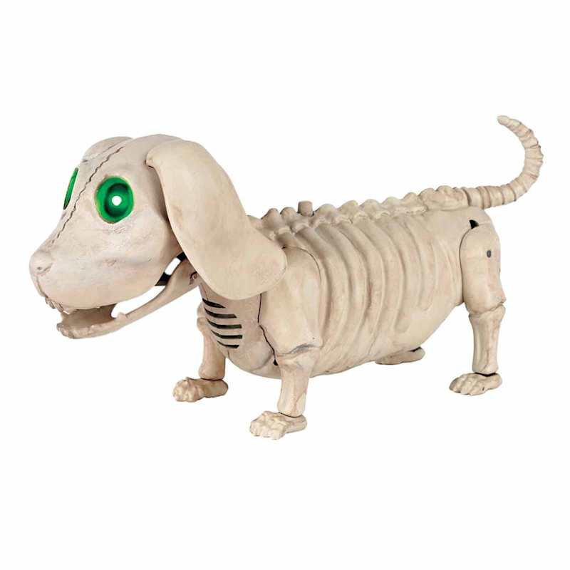 Light Up Halloween Wiener Dog Skeleton with Sound & Motion, 10" | At Home