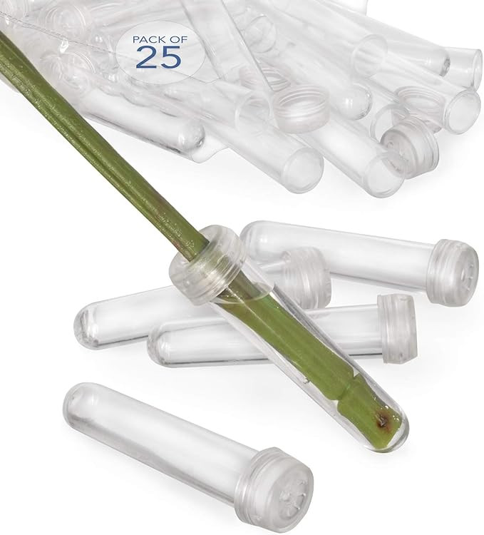 Royal Imports Floral Water Tubes/Vials for Flower Arrangements, Clear - 3" (1/2" Opening) - Stand... | Amazon (US)