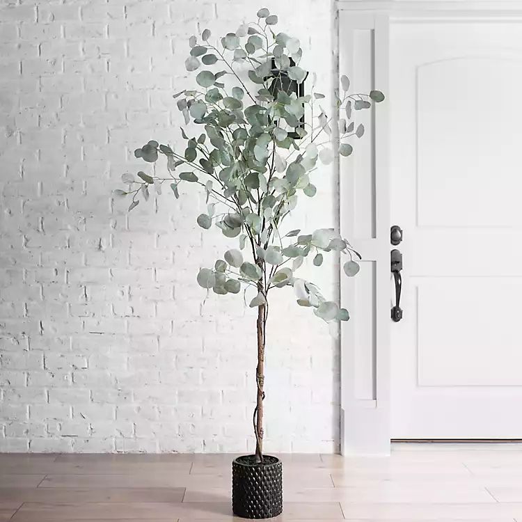 New! Silver Dollar Eucalyptus Tree in Brown Planter | Kirkland's Home