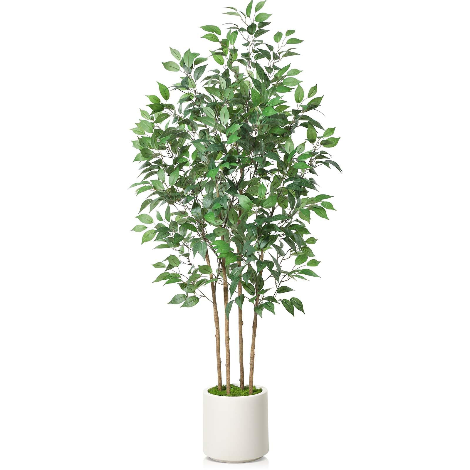Ficus Artificial Tree 6ft Fake Silk Plant for Home Decor Indoor, Faux Floor Tree in White Imitati... | Amazon (US)
