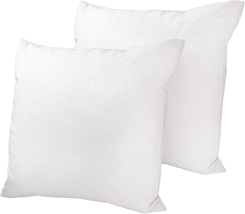 Westex Premium Feather Throw Pillow Insert, 20" x 20" 2-Pack | Amazon (CA)