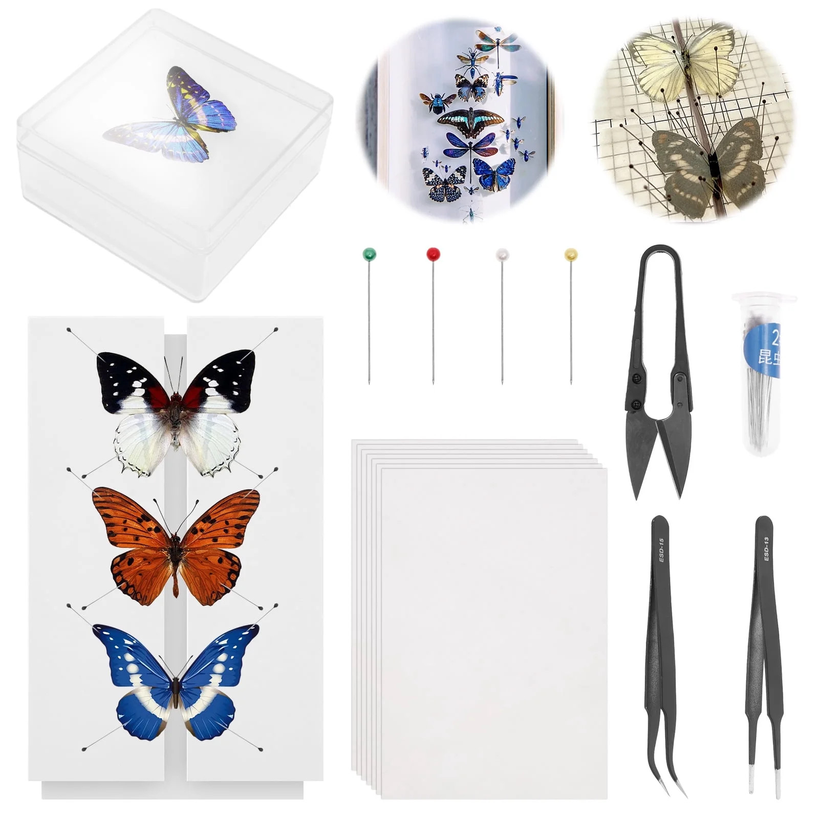 FYJUCPA Butterfly Specimen Making Tool Kit, Entomology Kit with Wing Mounting Board & Display Cas... | Walmart (US)