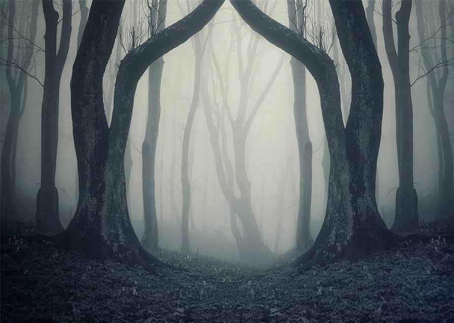 Amazon.com : BELECO 7x5ft Fabric Dark Misty Woods Backdrop Halloween Spooky Forest Backdrop for P... | Amazon (US)