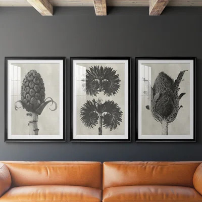 Blossfeldt Botanical IV -Custom Framed Premium Print W Matt - 3 Pieces | Wayfair North America
