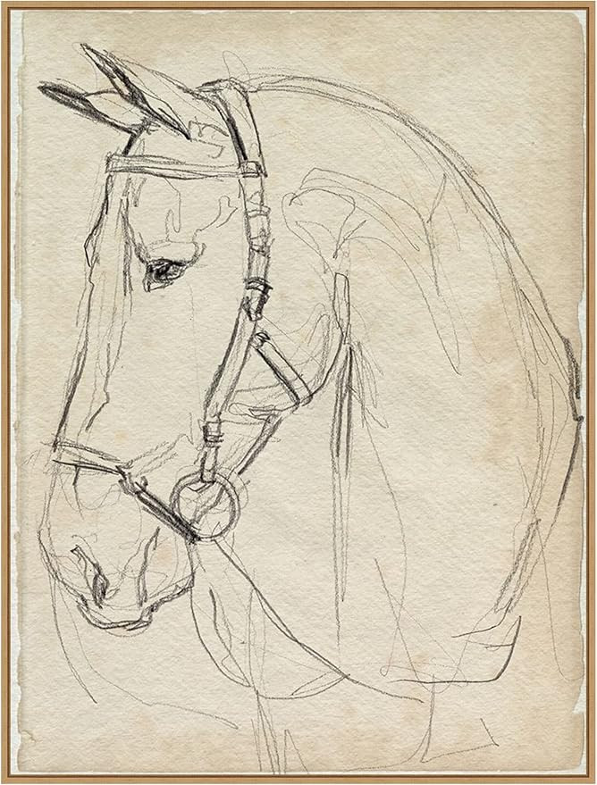 Amanti Art Framed Canvas Wall Art 42x32 Horse in Bridle Sketch II by Jennifer Paxton Parker, Fram... | Amazon (US)