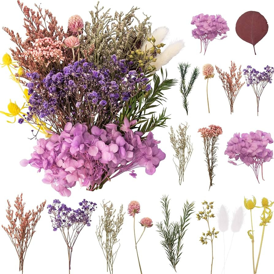 LAUMOE Getrocknete Blumen, Trockenblumen Zum Basteln Mini Trockenblumen Set für DIY Epoxidharz S... | Amazon (DE)