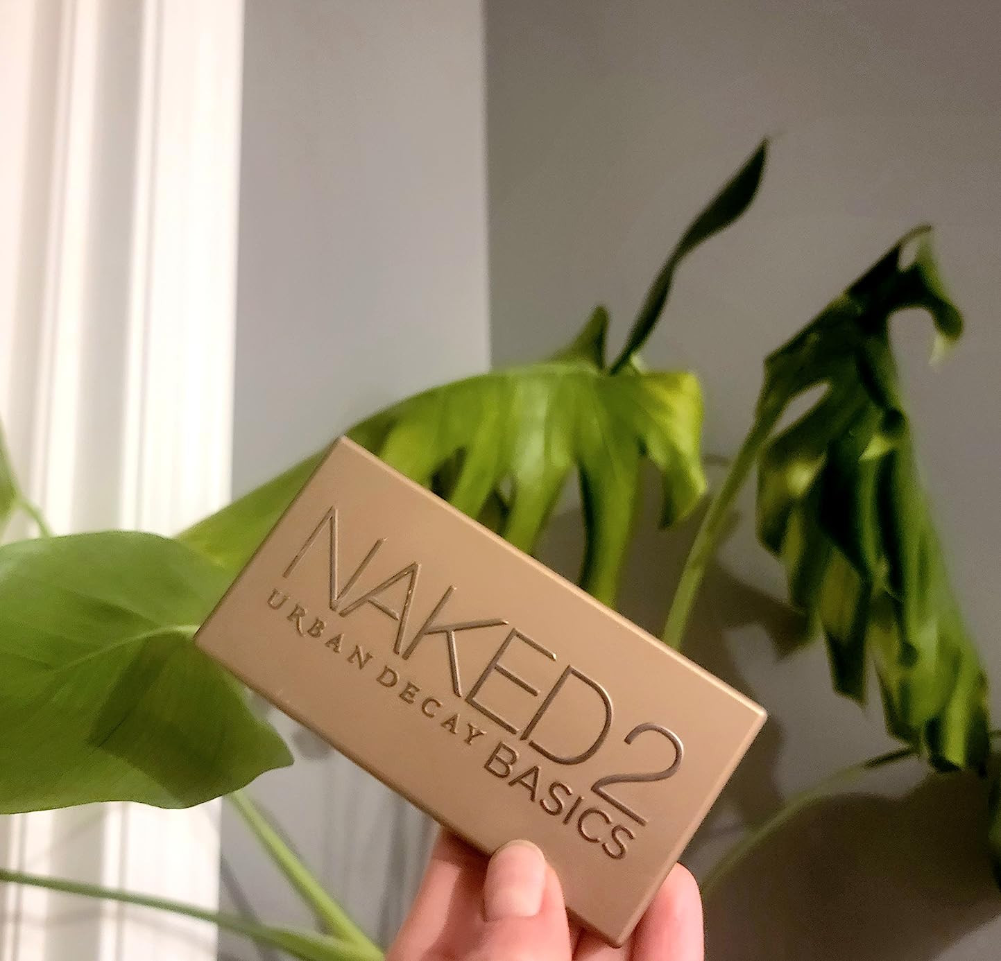 Urban Decay Naked2 Basics Eyeshadow Palette, 6 Taupe & Brown Matte Neutral Shades - Ultra-Blendab... | Amazon (US)