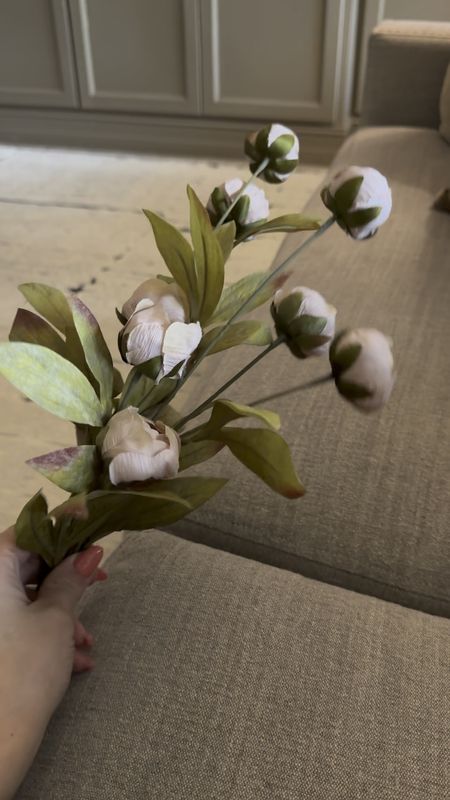 Viral peony stems back in stock in some stores! Check to see if yours has them! This is the tan color although they definitely look more like a light blush pink! The cream is also beautiful, but I think the tan is my favorite!


Michaels peony stems, spring decor, faux stems 

#LTKhome #LTKsalealert #LTKfindsunder50