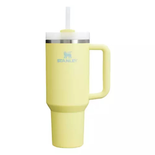 Stanley 40 oz Quencher H2.0 FlowState Tumbler | Scheels