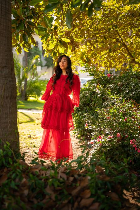 The Red Dress 

#LTKfindsunder100 #LTKGiftGuide #LTKSeasonal