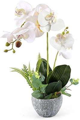 YOBANSA Orchid Bonsai Artificial Flowers with Imitation Porcelain Flower Pots Phalaenopsis Fake F... | Amazon (US)