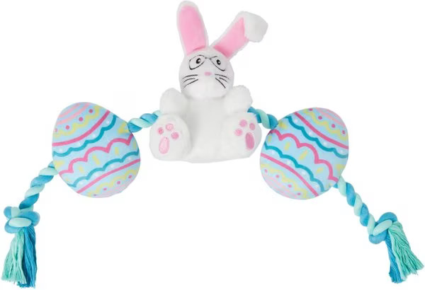 Frisco Easter Bunny & Egg Plush with Rope Dog Toy, Medium/Large | Chewy.com