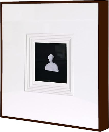 Sculpture Wall Art,French Vintage Decor with Framed,Aesthetic Black Paintings for Home Living Roo... | Amazon (US)