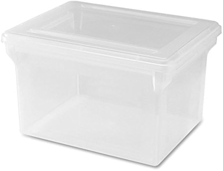 Lorell LLR68925 Letter/Legal Plastic File Box, 1 EA | Amazon (US)