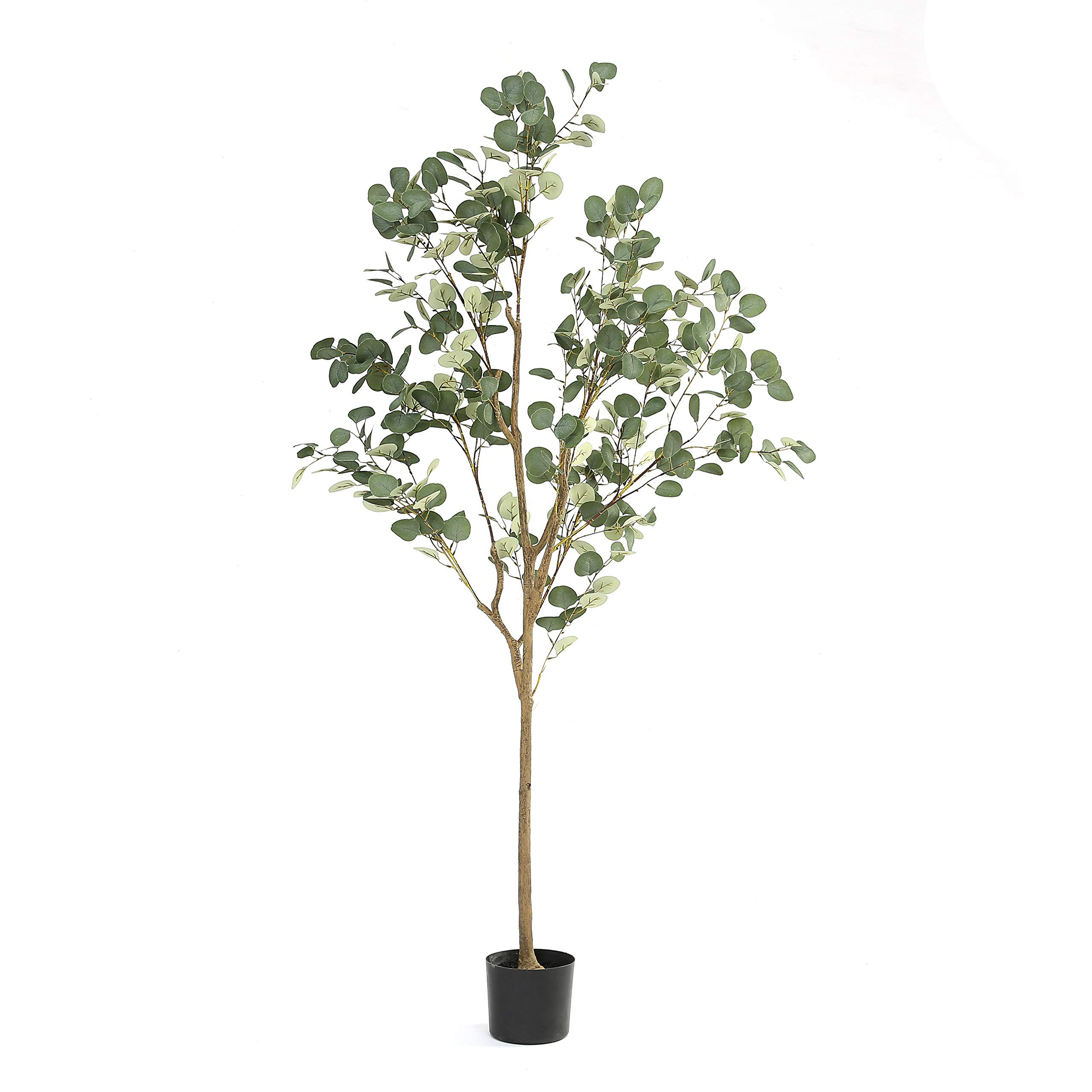 DIIGER Artificial Tree Plant Eucalyptus Tree 6FT Tall, Modern Large Fake Plant Decor in Pot for I... | Amazon (US)