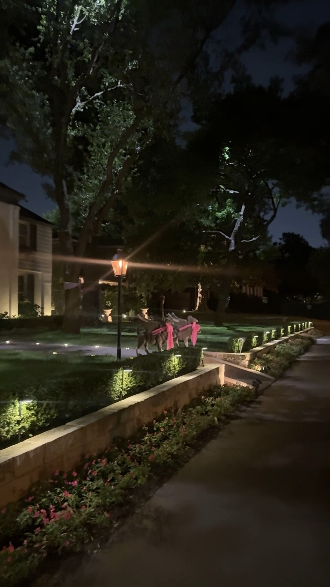 front yard has all new solar lights! the bid to add new lights in the front yard was over $10k, so we tried to see what we could do on our own for less and I am so happy with the result! 

#LTKParties #LTKHome