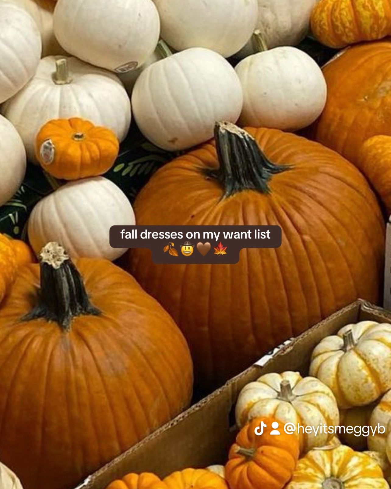 fall dresses on my WANT list !!! 

anthropologie 
farm rio
maeve
free people 
rylee and cru

fall dress
fall style
fall outfit
thanksgiving dress
thanksgiving style
thanksgiving outfit
fall fashion
thanksgiving fashion
what to wear



#LTKHoliday #LTKWorkwear #LTKSeasonal