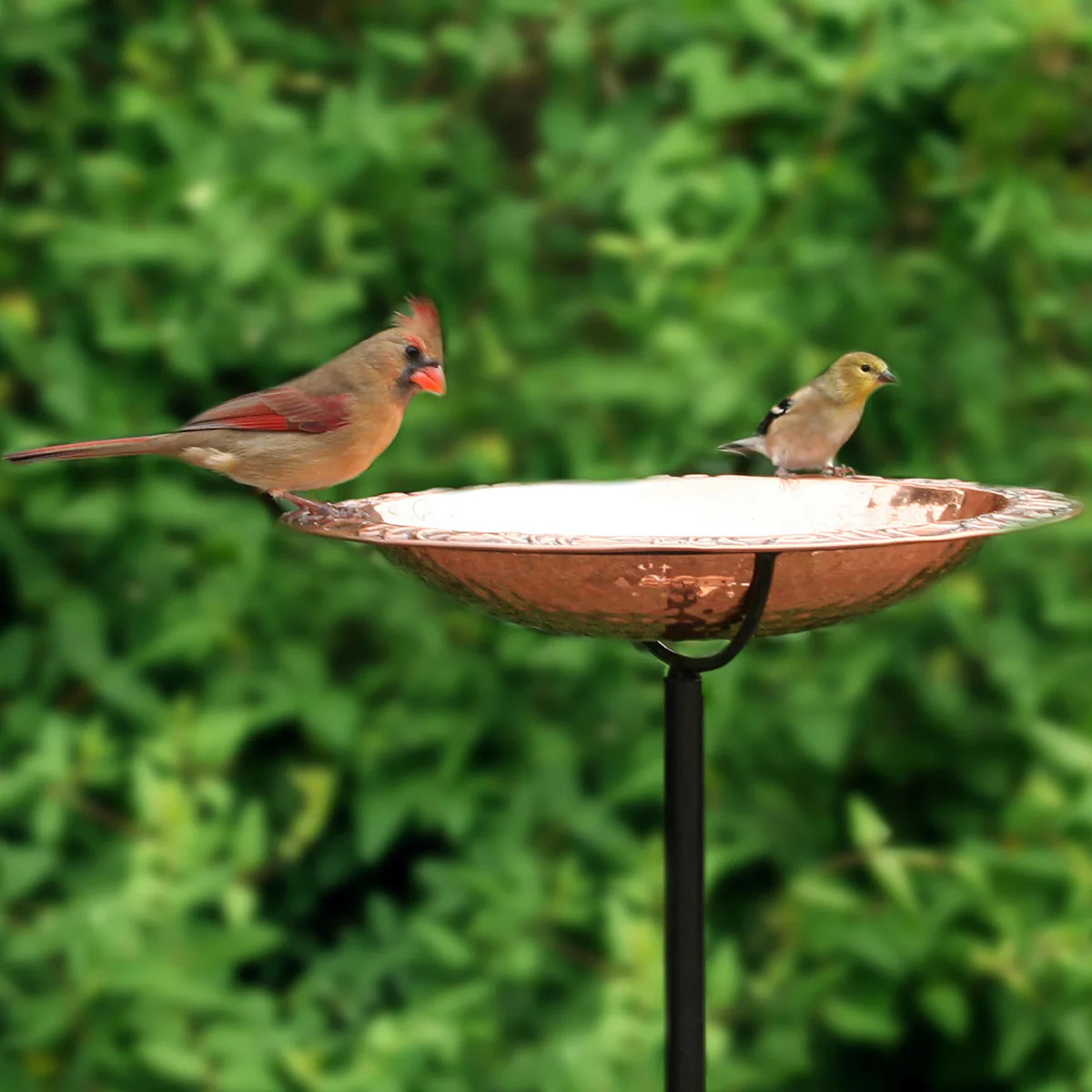 Pure Copper Birdbath on Powder-Coated Steel Pole With Sturdy Three-Pro | Plow & Hearth