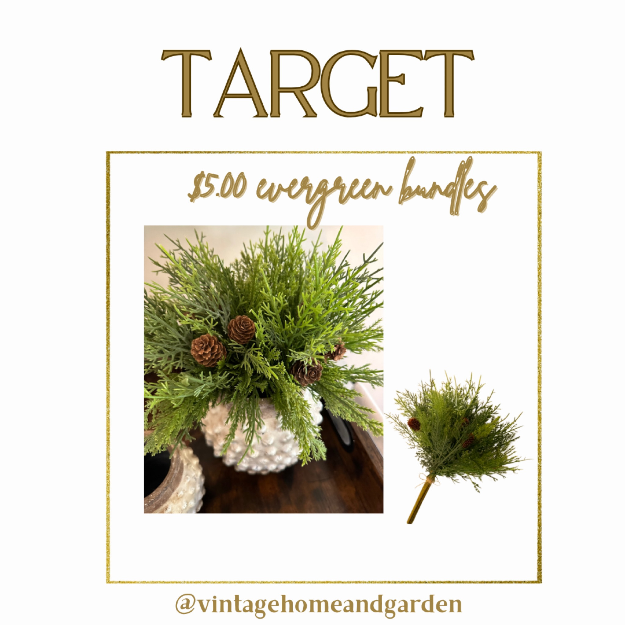 Mini Cedar Stems.  Great for small vases and filler🤍
#cedarstems

#LTKHome #LTKSeasonal #LTKHoliday