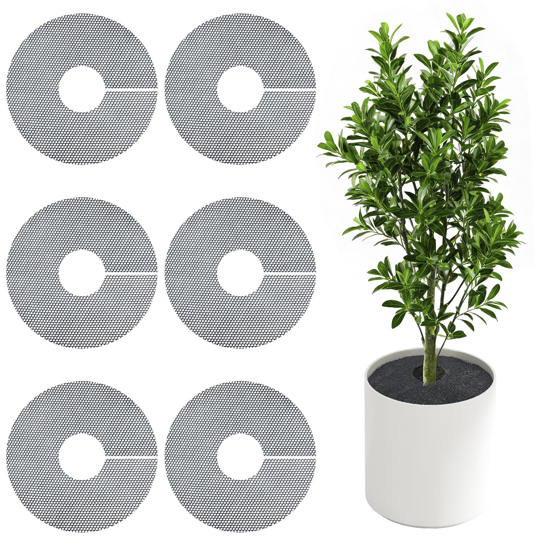 6 Pack Plant Pot Grids - 11.8 Inch Cuttable Soil Cover Protector from Cats, Animals Digging Stopp... | Amazon (US)