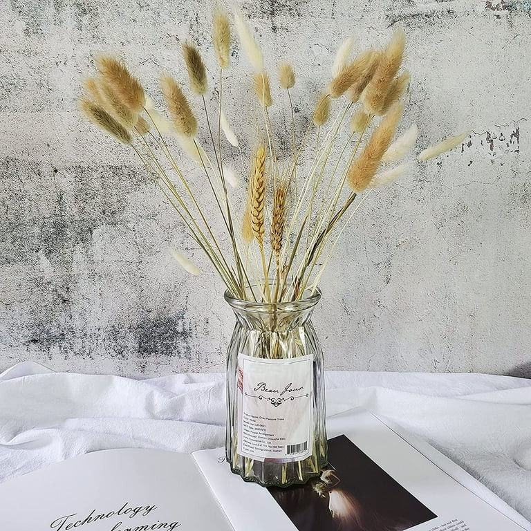 Natural Dried ovatus 90 Pcs, Dried Bunny Tails Pampas for Flower Arrangements Wedding Home Decor | Walmart (US)