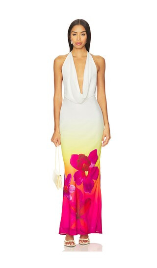 Jasmina Maxi Dress in Tropical Ombre | Revolve Clothing (Global)