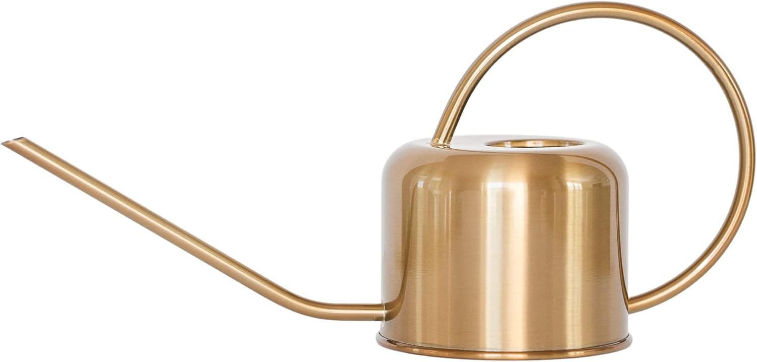 Stainless Steel Watering Can for Houseplants by Houseplant Resource Center | 1L Capacity for Indo... | Amazon (US)
