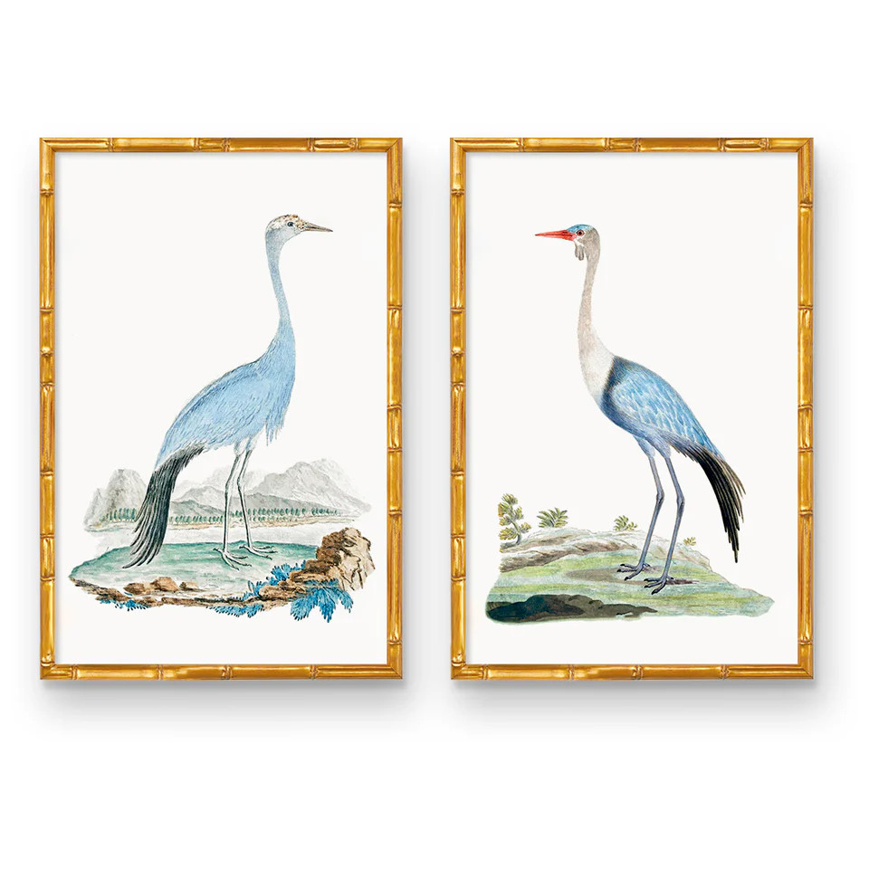 ELEGANT BEAUTY PAIR | Urban Garden Prints