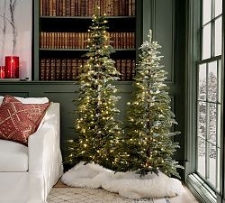 Faux Lit Narrow Pine Tree | Pottery Barn (US)