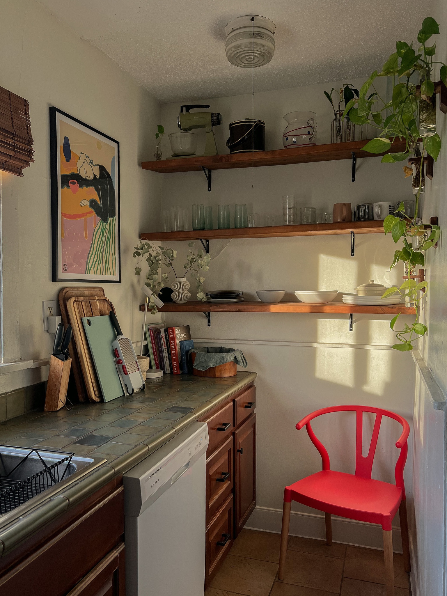 Kitchen essentials ✨🍄🌱

#LTKhome #LTKSeasonal