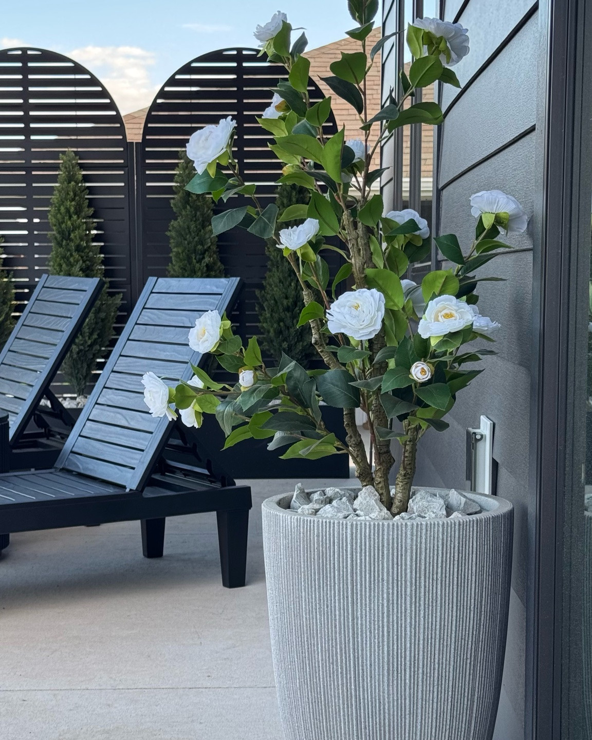 #ad Setting up our outdoor space felt like a project I kept putting off forever, but @Wayfair made it SO easy to pull together pieces that actually feel intentional and like they belong with the rest of our home

Obsessed with how it all came together and even more obsessed that I didn't have to piece it together from ten different places

Everything is linked here on my LTK for you to shop 🤍

#Wayfair #WayfairPartner #wishyouwerehere #outdoor

#LTKSaleAlert #LTKHome #LTKSeasonal
