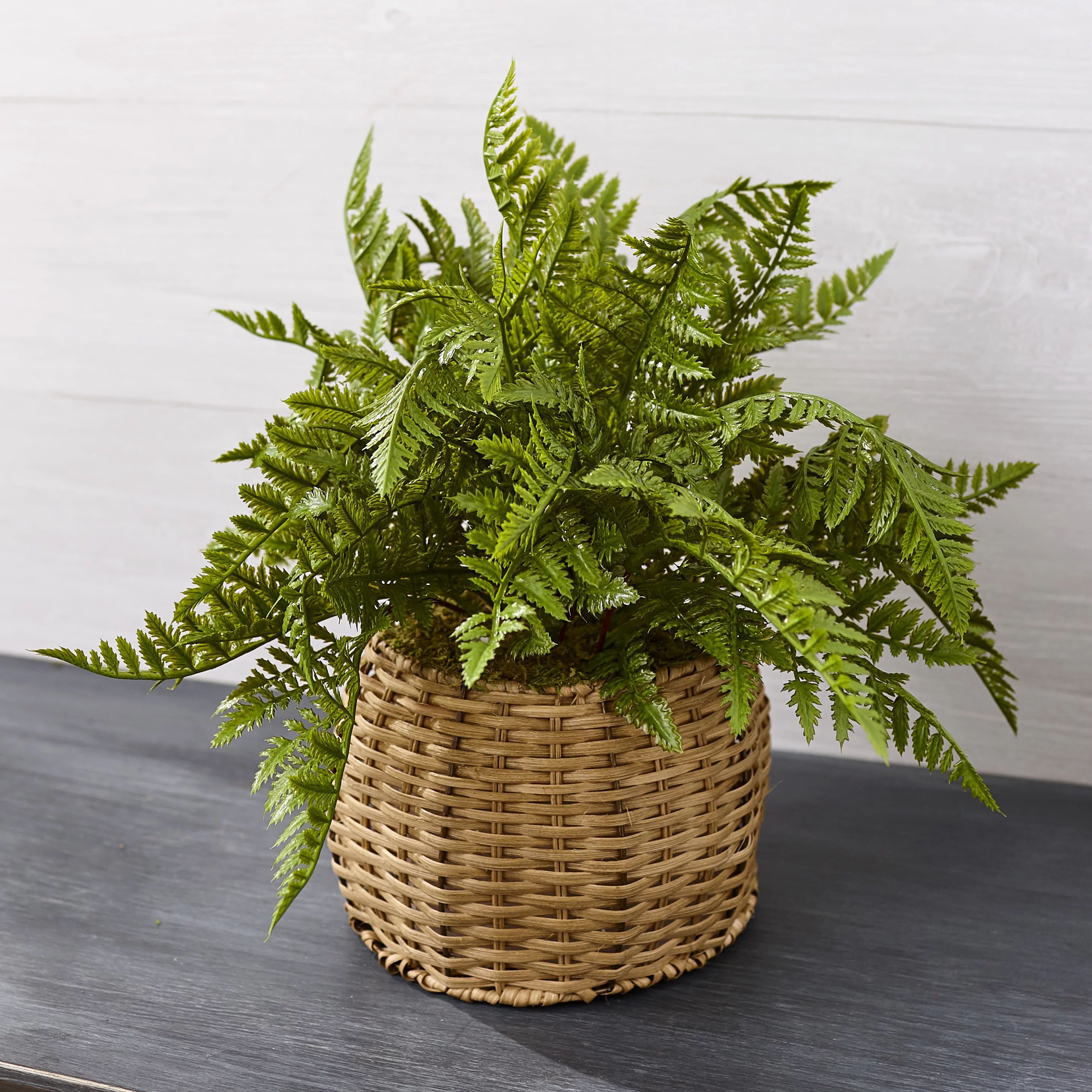 Artificial Fern in Basket – Faux Indoor Plant – House Plant – Woven Planter | Walmart (US)