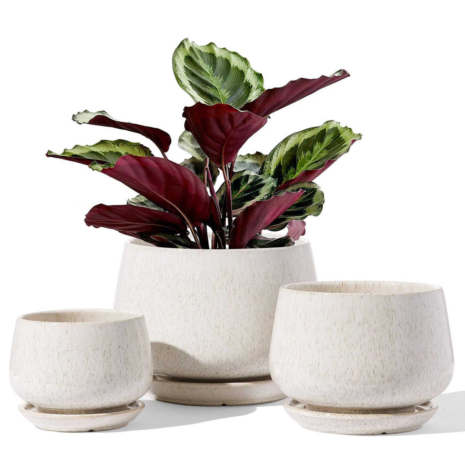 LE TAUCI Plant Pots, 4.1+5.1+6.5 inch, Set of 3, Ceramic Planters with Drainage Hole and Saucer, ... | Amazon (US)