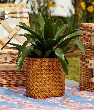 x Nellie Howard Ossi Collection Cement Caning Flowerpot | Dillard's