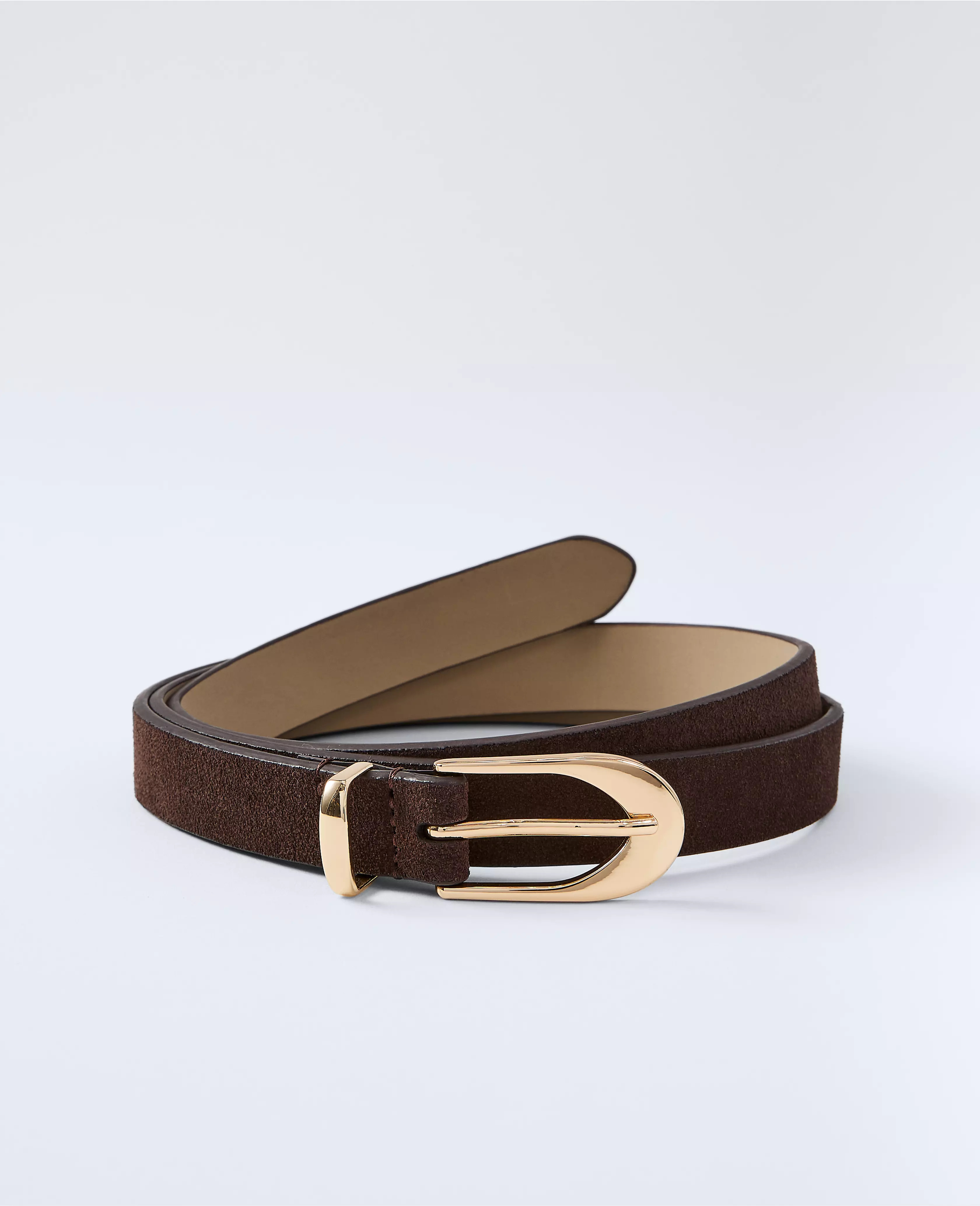 Suede Oval Buckle Belt | Ann Taylor