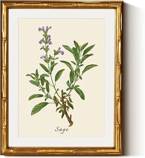 InSimSea Gold Bamboo Framed Canvas Wall Art, Vintage Watercolor Sage Herbs Prints, Antique Pictur... | Amazon (US)