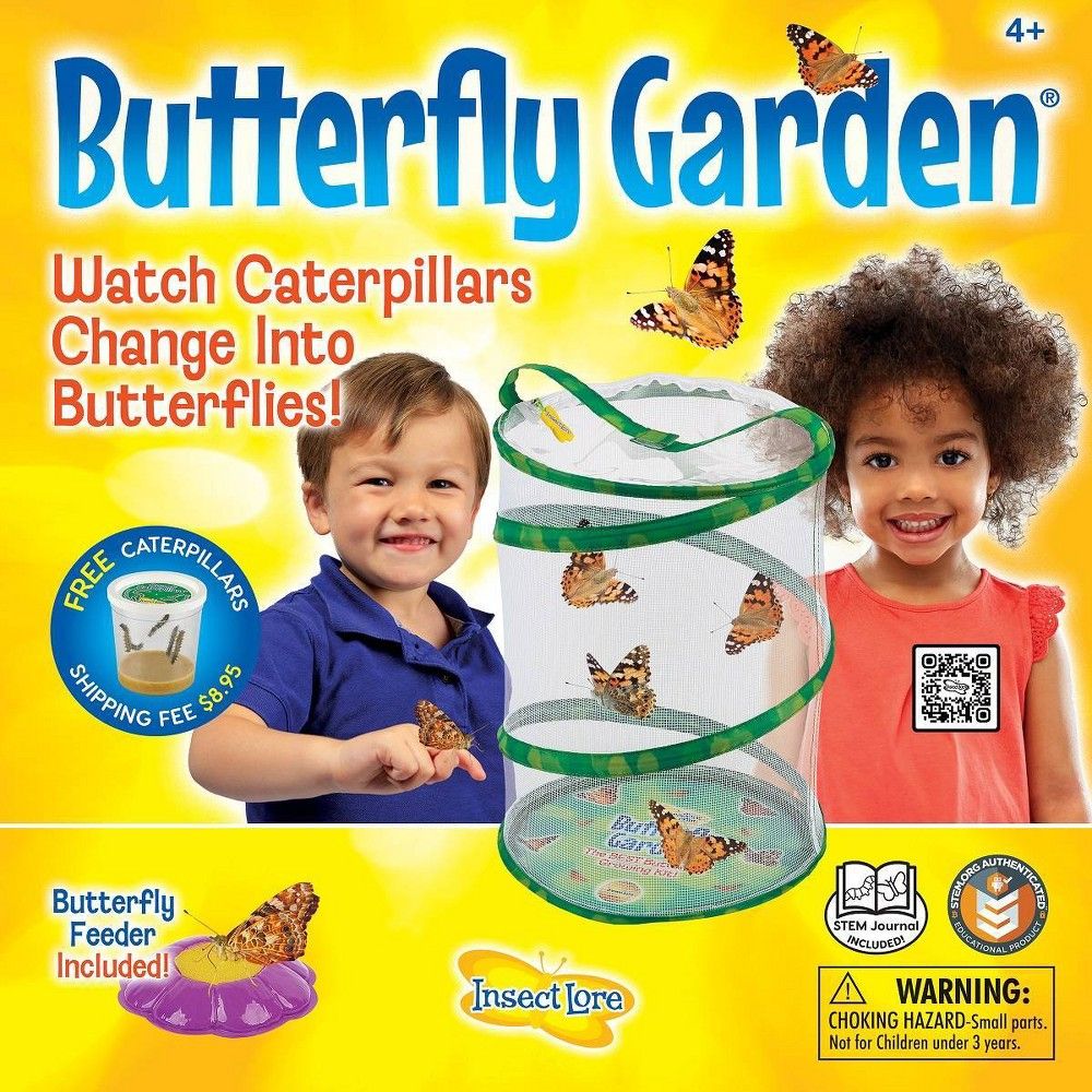 Insect Lore Butterfly Garden Kit | Target