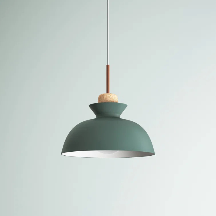 Brashear 1 - Light Single Dome Pendant | Wayfair North America