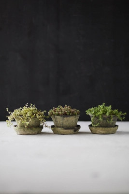 Earth Fired Clay Thin Rim Pot + Saucer, Set of 3 | Terrain