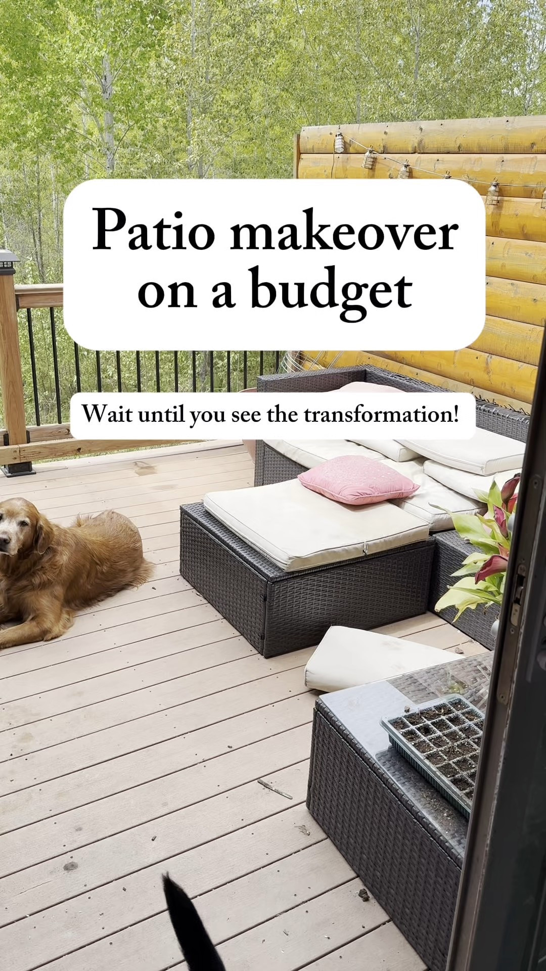 An affordable way to upgrade your outdoor space! Made such a huge difference! 

#LTKFindsUnder50 #LTKSeasonal #LTKSummerEdit